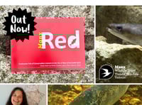 Manx Wildlife Trust release new booklet on island's fish conservation