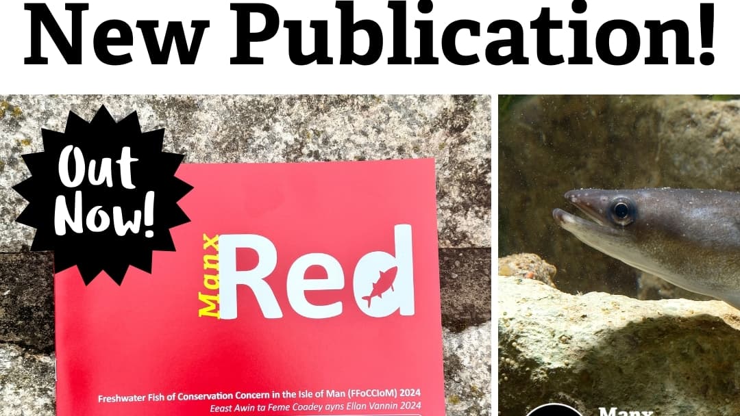 Manx Wildlife Trust release new booklet on island's fish conservation ...
