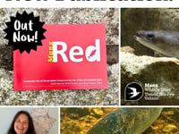 Manx Wildlife Trust release new booklet on island's fish conservation