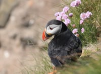 PlayItForward protecting the local biosphere with Manx Wildlife Trust