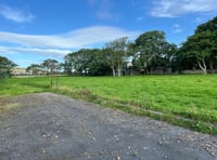 113 year-old sports club to be disbanded due to lack of facilities