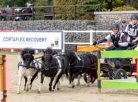 Christian crowned national pony team champion