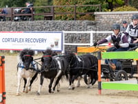 Christian crowned national pony team champion