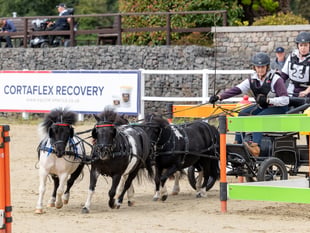 Christian crowned national pony team champion