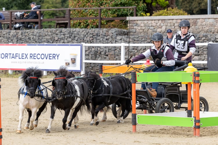 Lynda Christian in action at the Certius Championship carriage-driving competition at the David Broome Event Centre in Monmouthshire