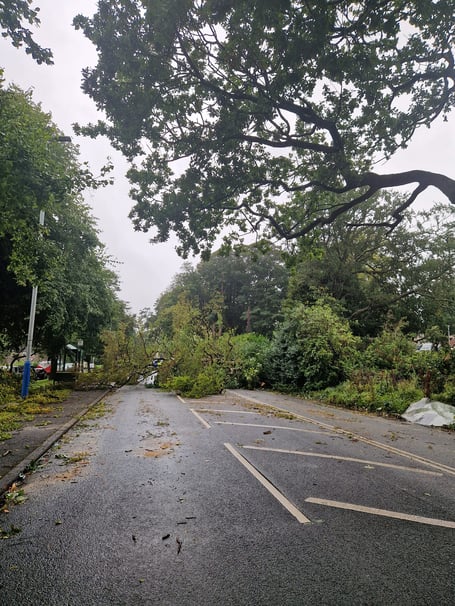 A tree fells down across the New Castletown Road near Quarterbridge in Douglas after strong winds.
