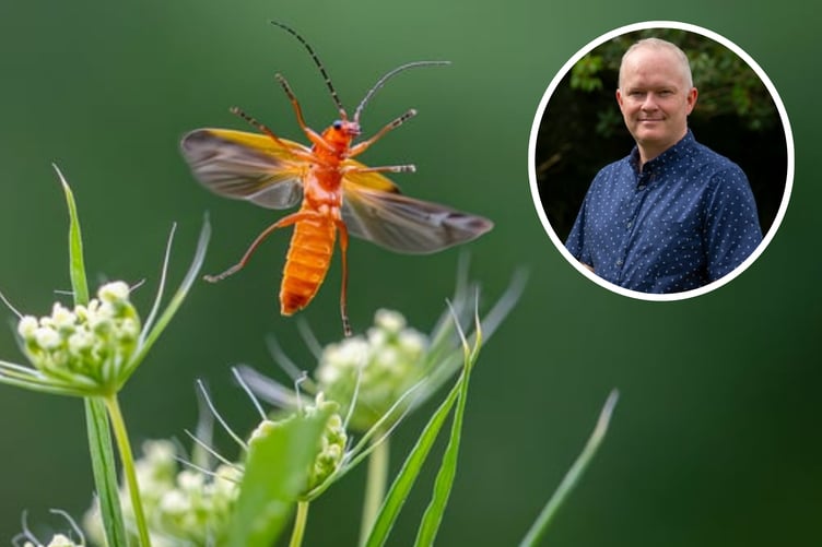Sean Corlett (top right) with his calendar entry picture (main)