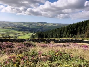 Hospice at Home’s ‘Warden’s Walk’ challenge announced