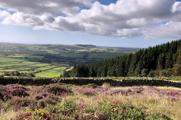 Chris Keown sent in this view of King's Forest from Slieau Ruy