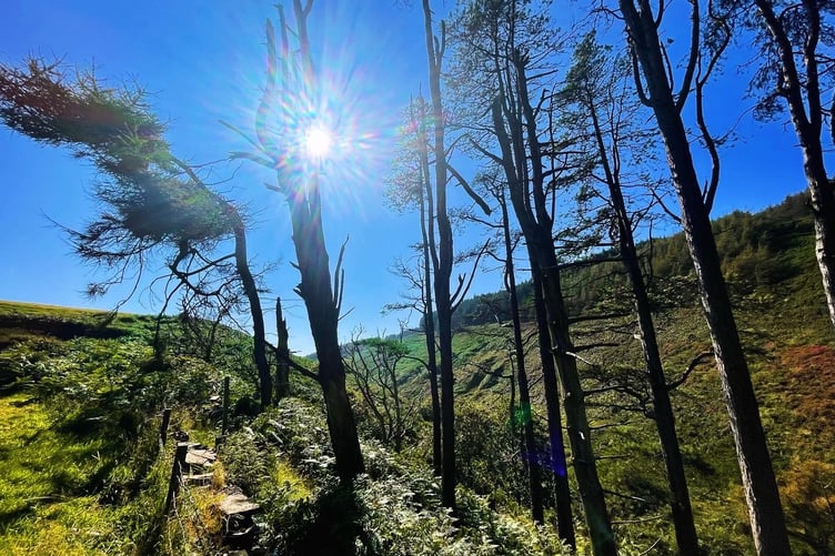 Views during a walk at Glen Rushen
