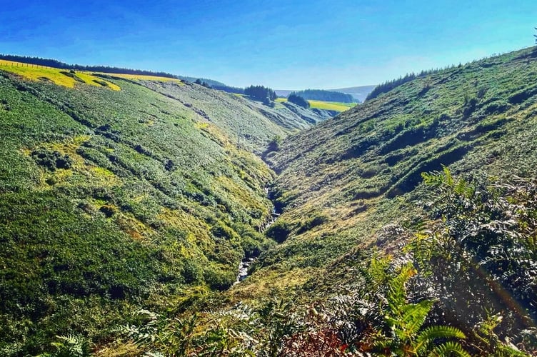Amazing views along the valley during a walk at Glen Rushen