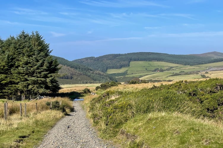 A stony path leading into Glen Rushen valley