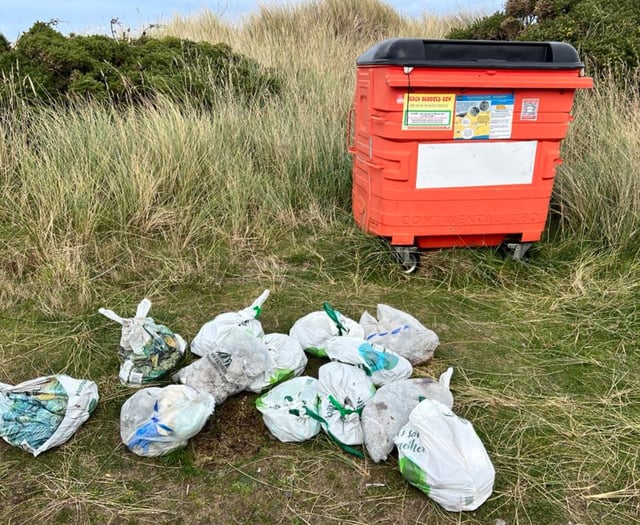 Charity's message falls on deaf ears as bags of cat litter dumped