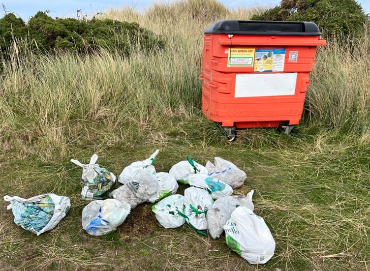 Cat litter left at a Beach Buddies bin in Smeale