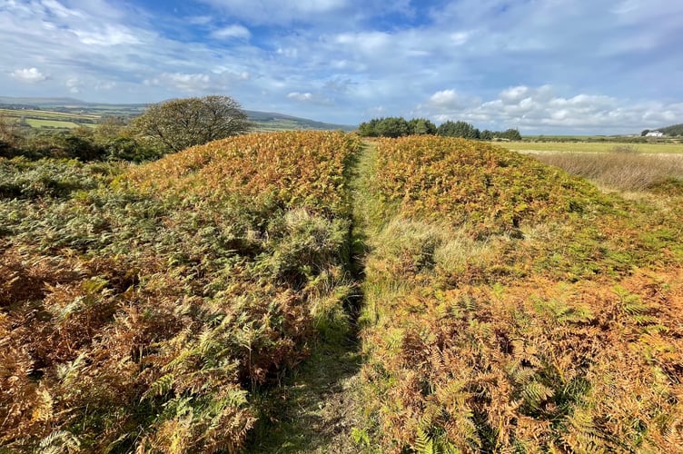 Broogh Fort near St Mark's