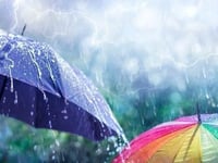 Red, amber, green: How Met Office determines weather warnings