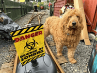 'Practice your screaming' for this year's Laxey Ghost Trains