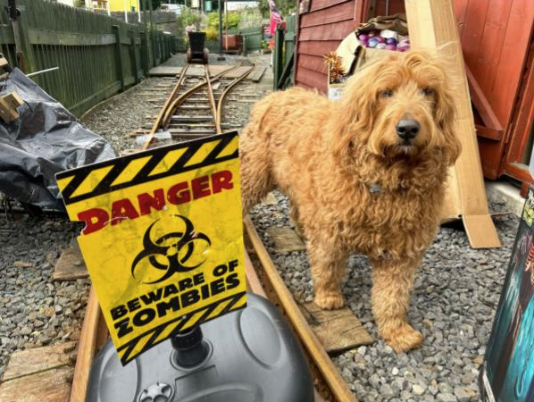 Luli the dog, who will be dressed as a lion for the upcoming Ghost Trains