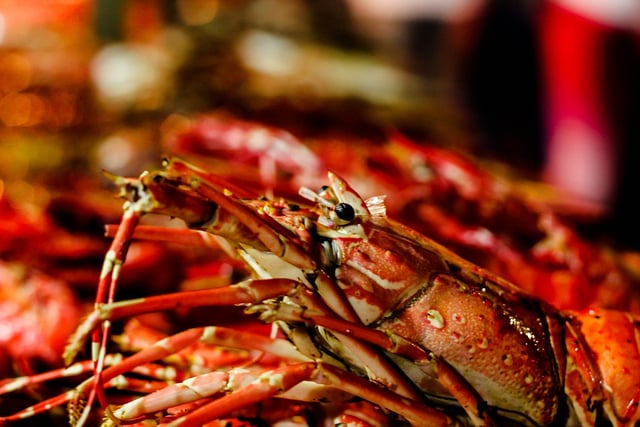 Company £6,000 for possessing undersized lobsters