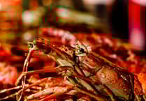 Seafood processing company fined £6,000 for possessing undersized lobsters