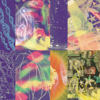Nap Eyes - 'The Neon Gate'