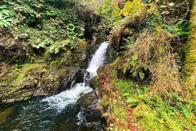 The waterfall at Glen Helen