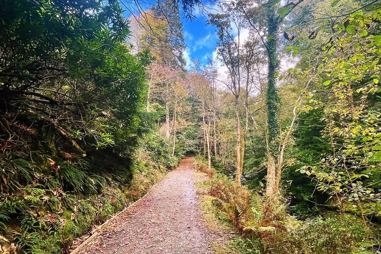 Autumn at Glen Helen