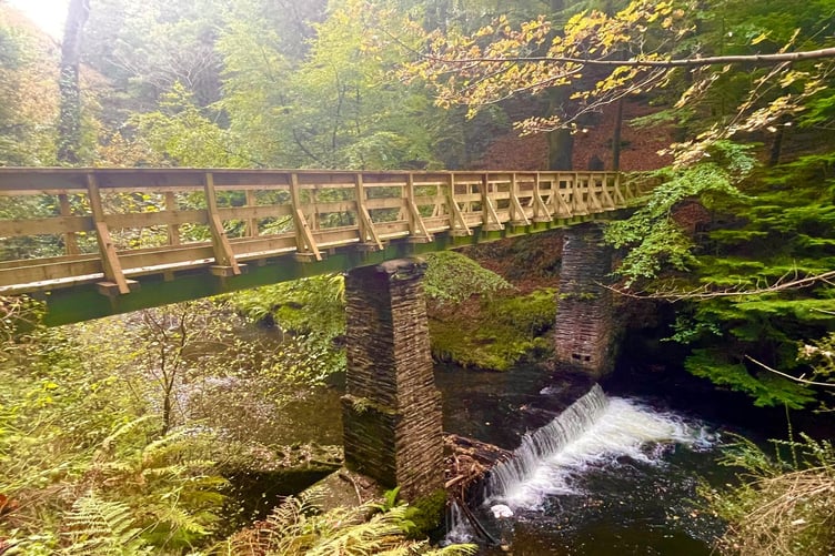 A bridge crossing a weir at Glen Helen