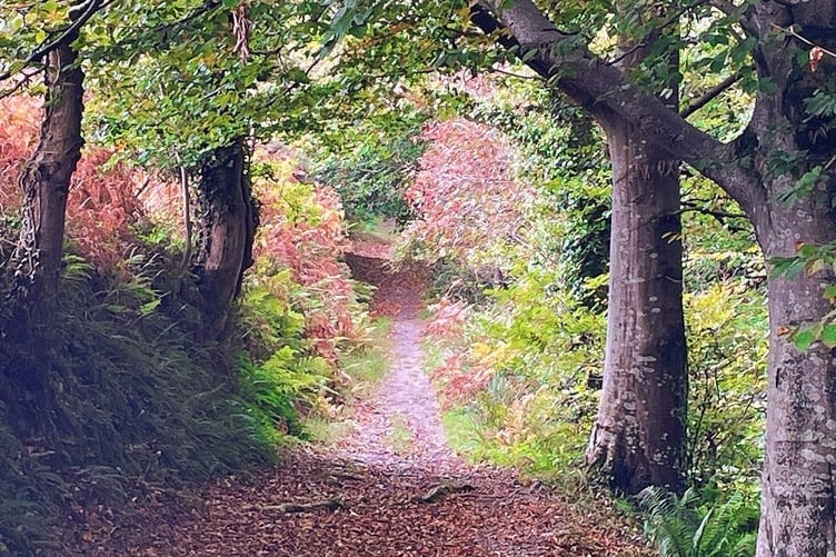 Autumn at Glen Helen