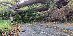Dreemskerry Road to remain closed overnight due to fallen tree