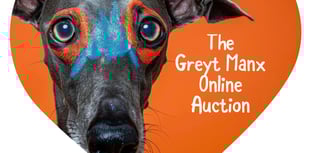 Island charity to host online auction to fund canine first aid courses