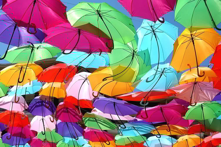 Canopy by Ron Shimmin