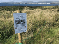Trial project to protect nesting birds hailed a success