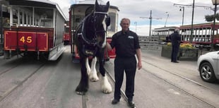 Tributes pour in after respected Douglas Bay Horse Tramway driver dies