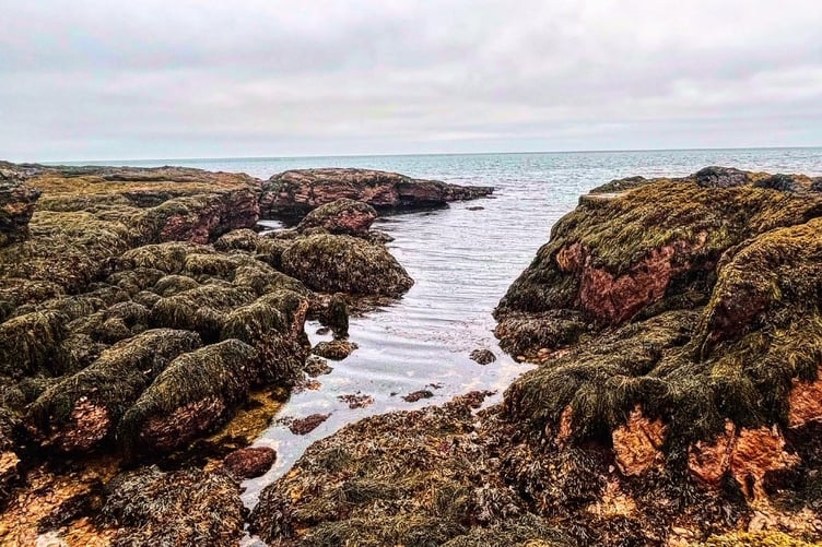 The shoreline at Langness