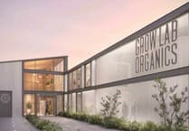 Five applications for medicinal cannabis licence submitted in four years