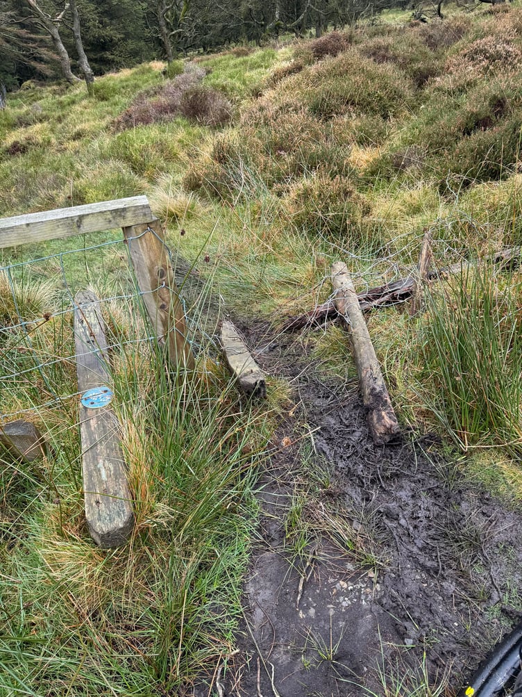 Damage has been inflicted on several plantations