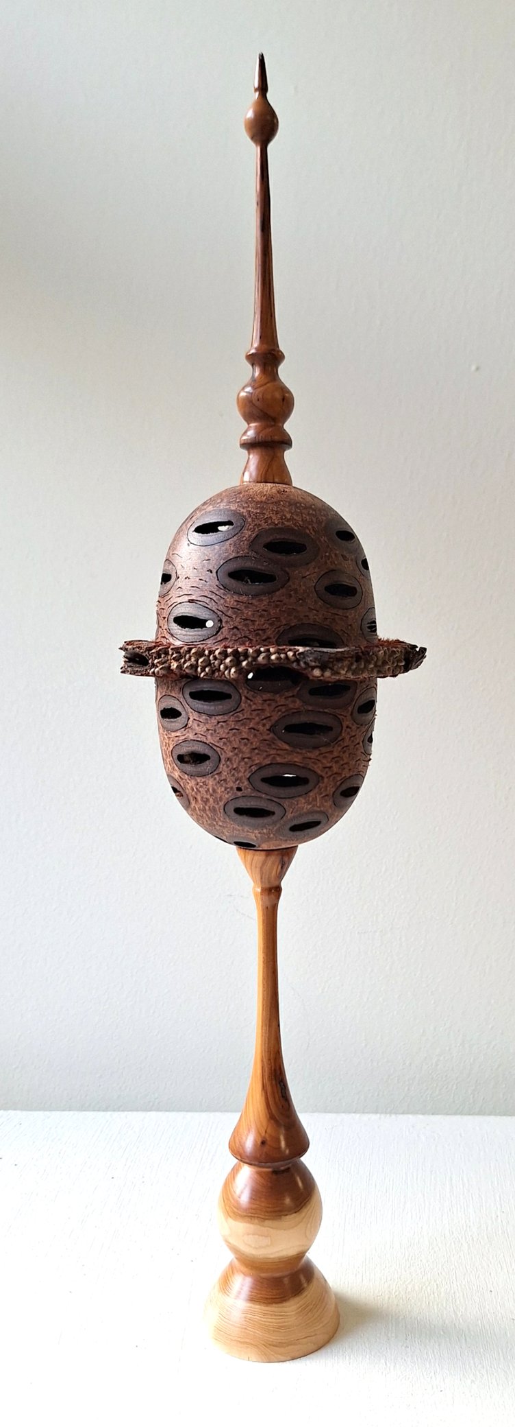 Mark Smyth's 'Banksia Nut'