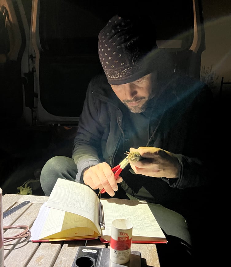 Rob Fisher rings a captured skylark