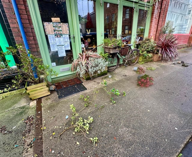 Cafe devastated after beloved plant display 'destroyed' by vandals