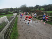 Rich supply of junior cross-country talent