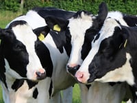 'Everything is being done' to protect livestock from viral disease