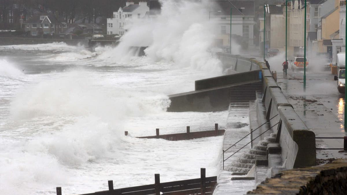 Storm Darragh LIVE updates trees down and roads closed across the Isle