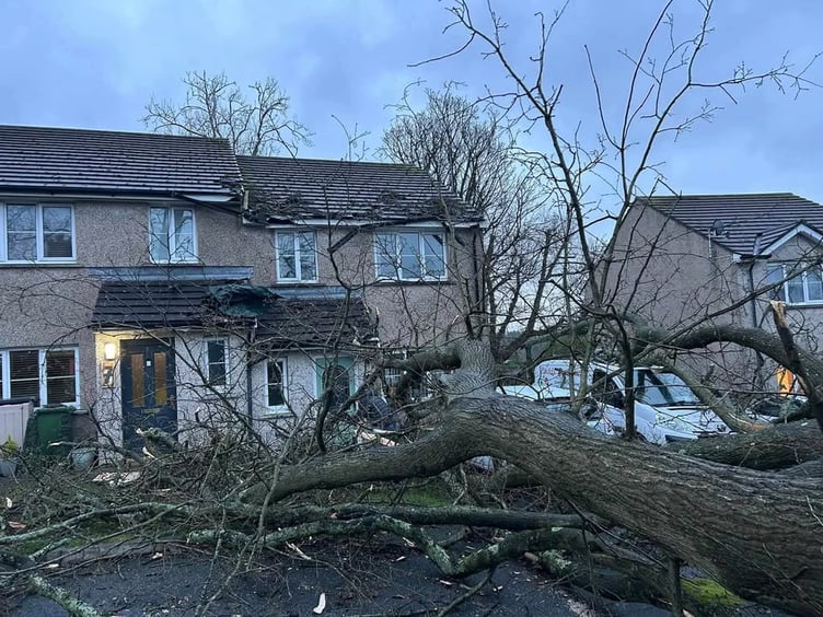 A fallen tree was inches away from causing serious damage to Baz's house