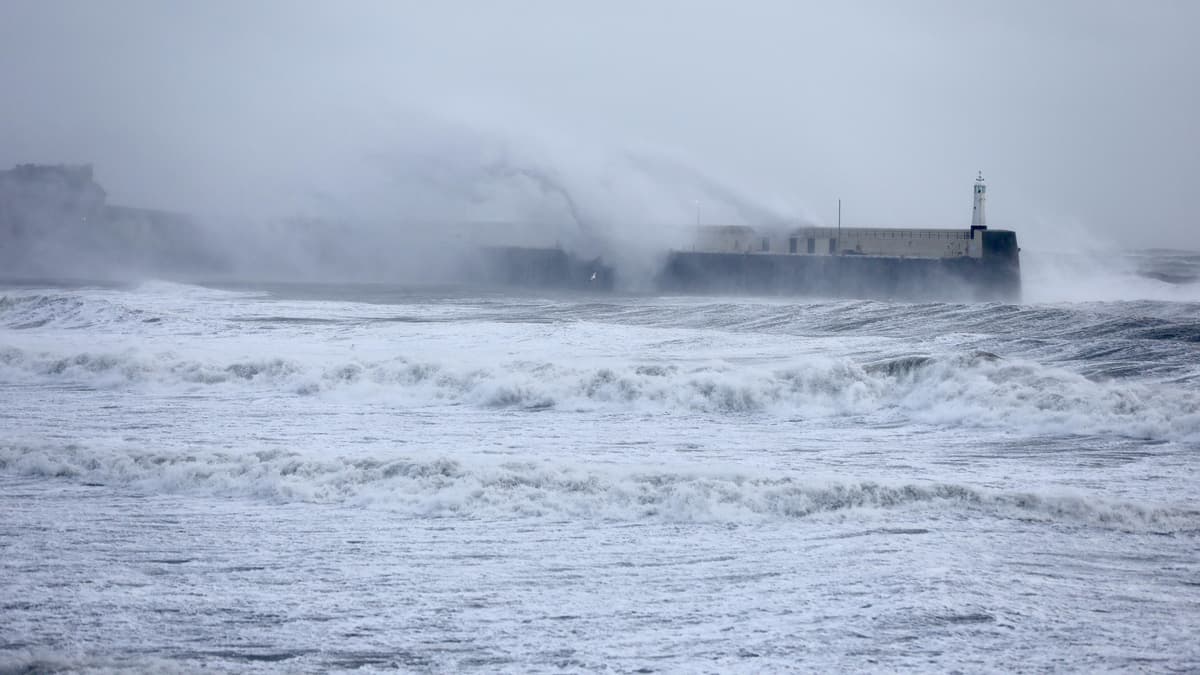 Storm Darragh LIVE updates as trees down and roads closed across the