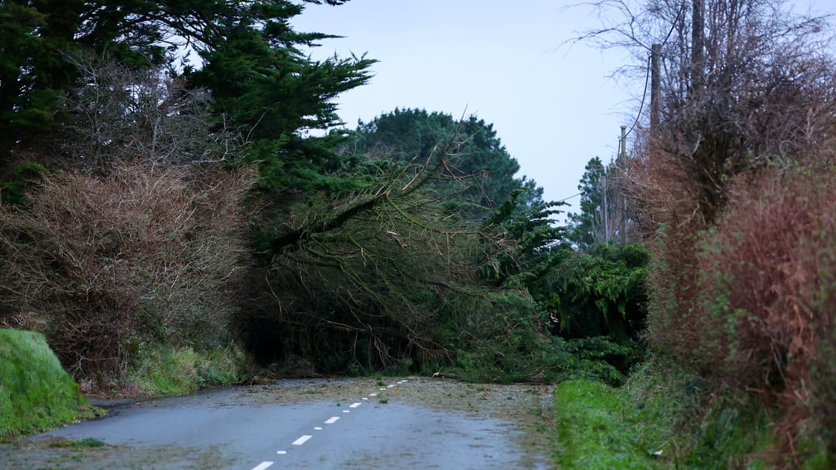 Storm Darragh Full list of roads closed or blocked across the Isle of