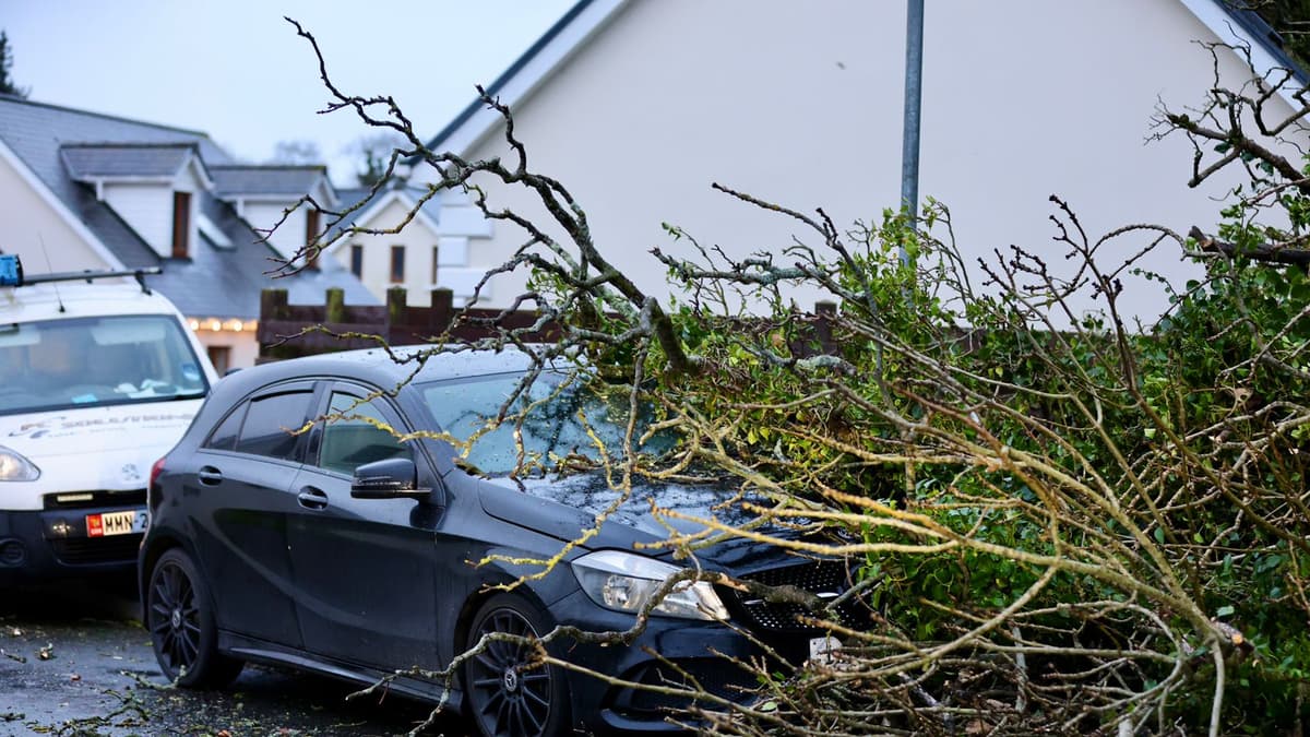 Storm Darragh LIVE updates trees down and roads closed across the Isle
