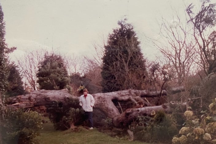 The other silver fir dedicated to Prince Albert came down during a storm in 1990