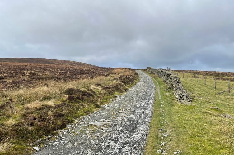 The rutted path leading up towards Slieu Freoaghane