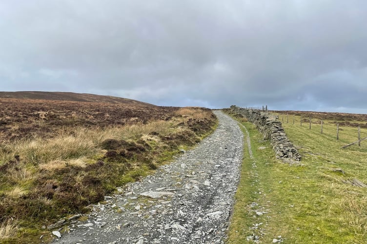 The rutted path leading up towards Slieu Freoaghane